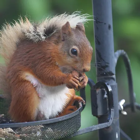 Hazel Bank Borrowdale Valley 5* Rosthwaite
